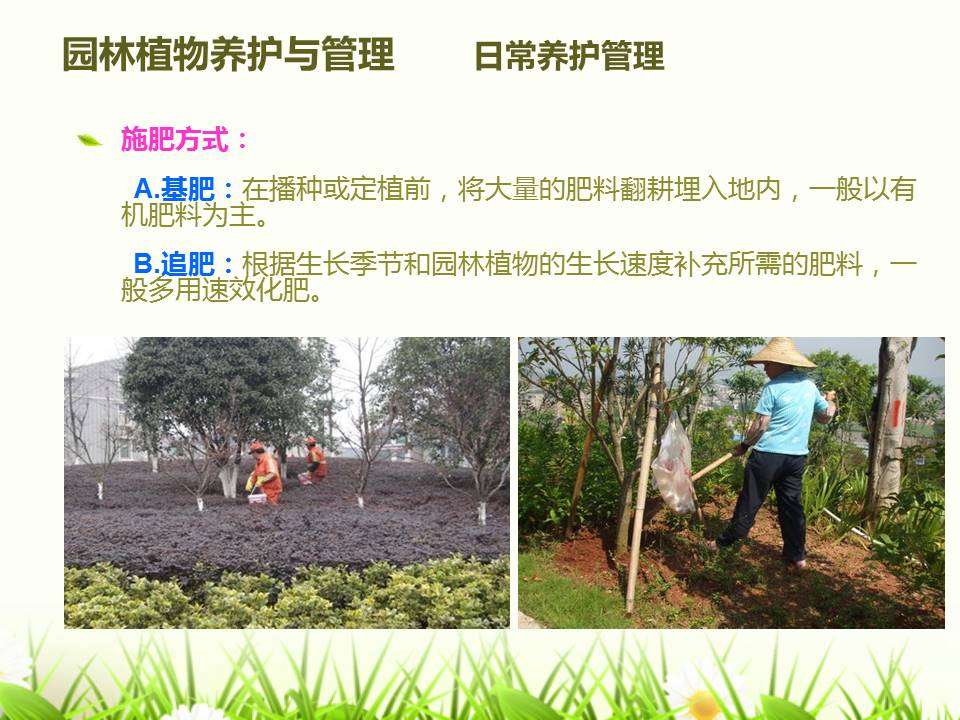 景观施工公司在城市更新中的角色